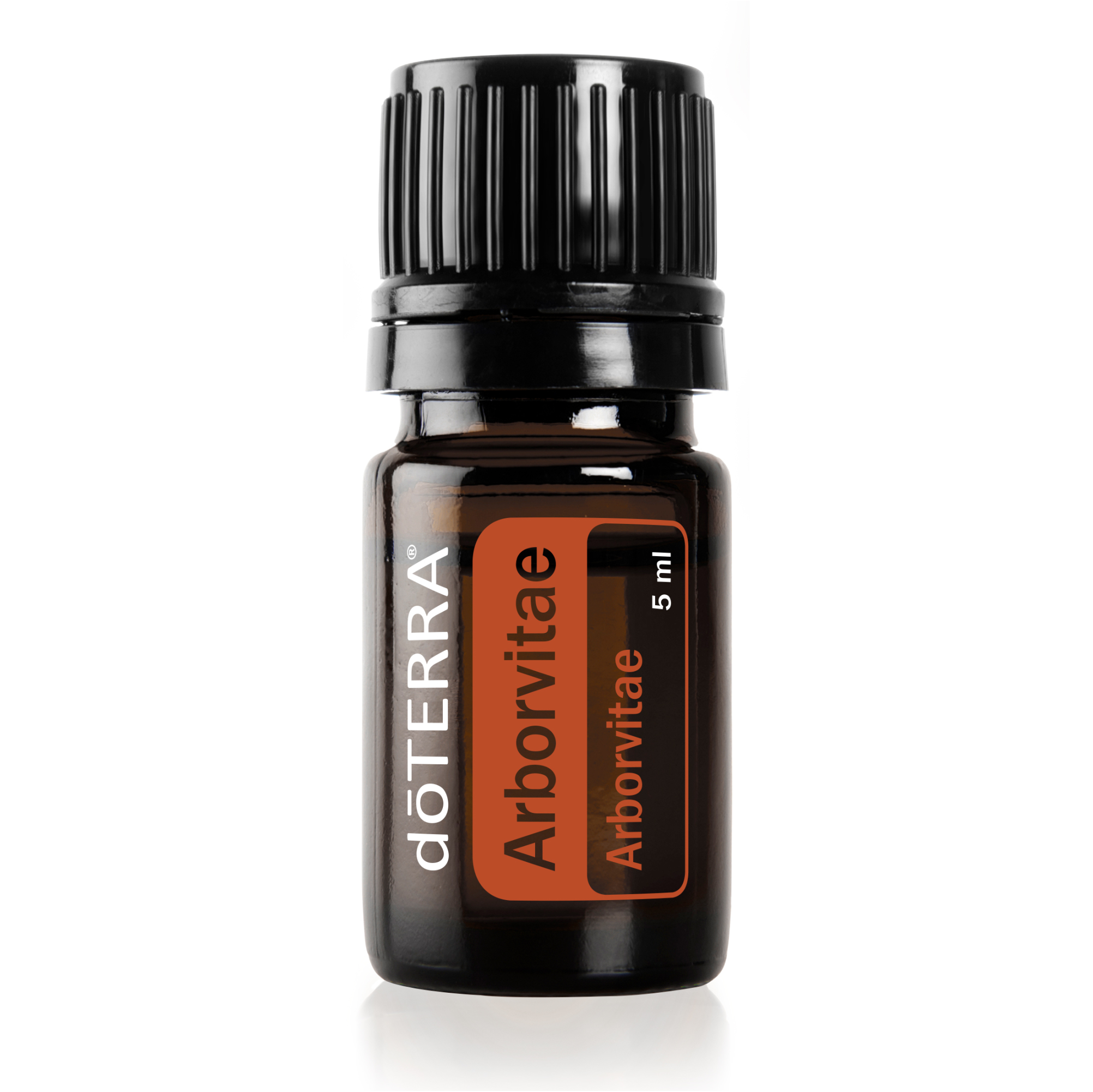 Arborvitae Óleo Essencial doTERRA