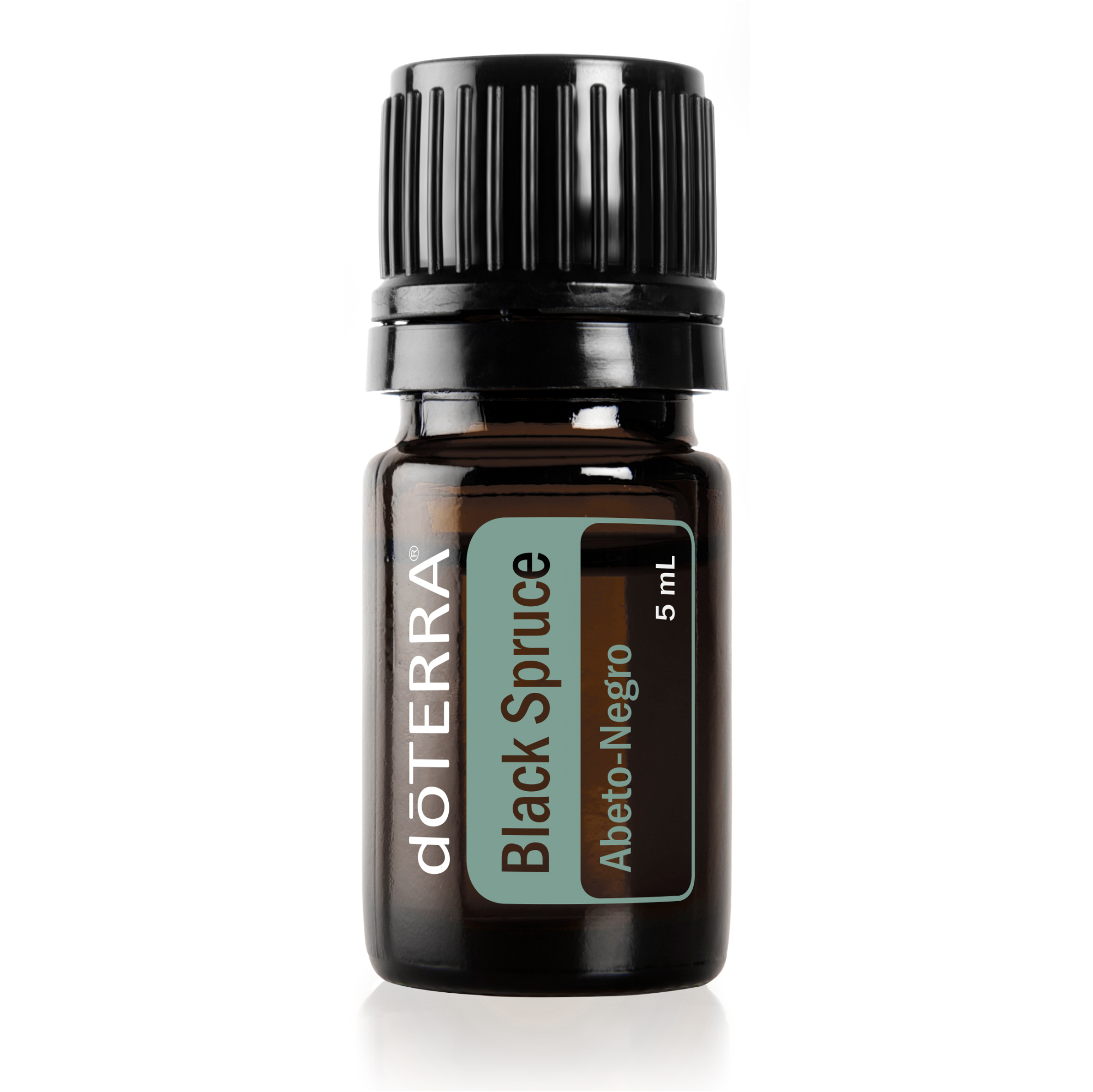 Black Spruce Óleo Essencial doTERRA