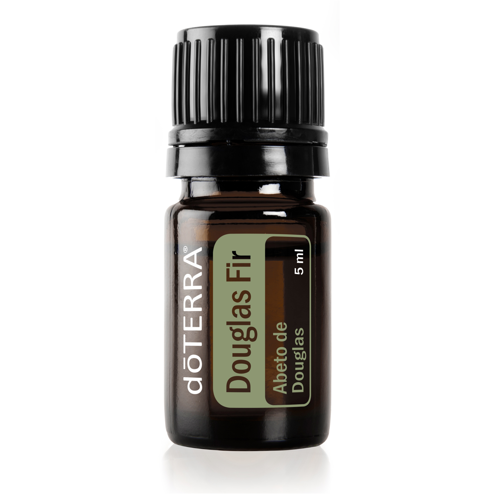 Douglas Fir Óleo Essencial doTERRA